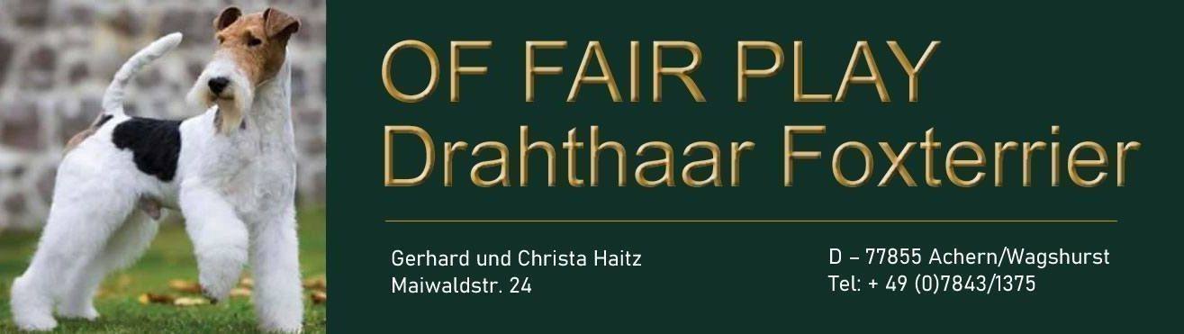 OF FAIR PLAY Drahthaar Foxterrier - Gerhard und Christa Haitz, Maiwaldstr. 24, D-77855 Achern/Wagshurst, Tel: +49 (0)7843/1375