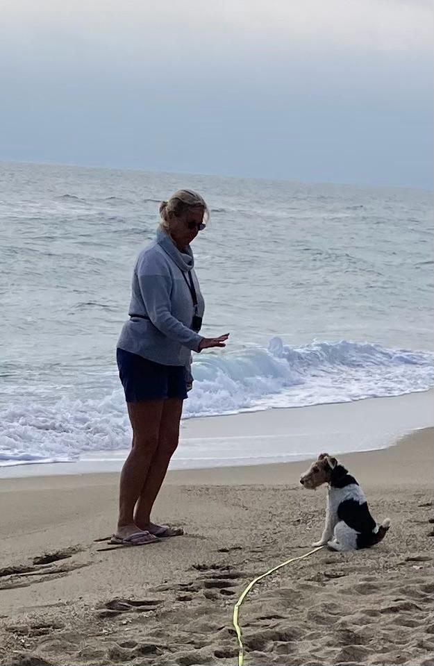 Foxterrier am Strand in Frankreich