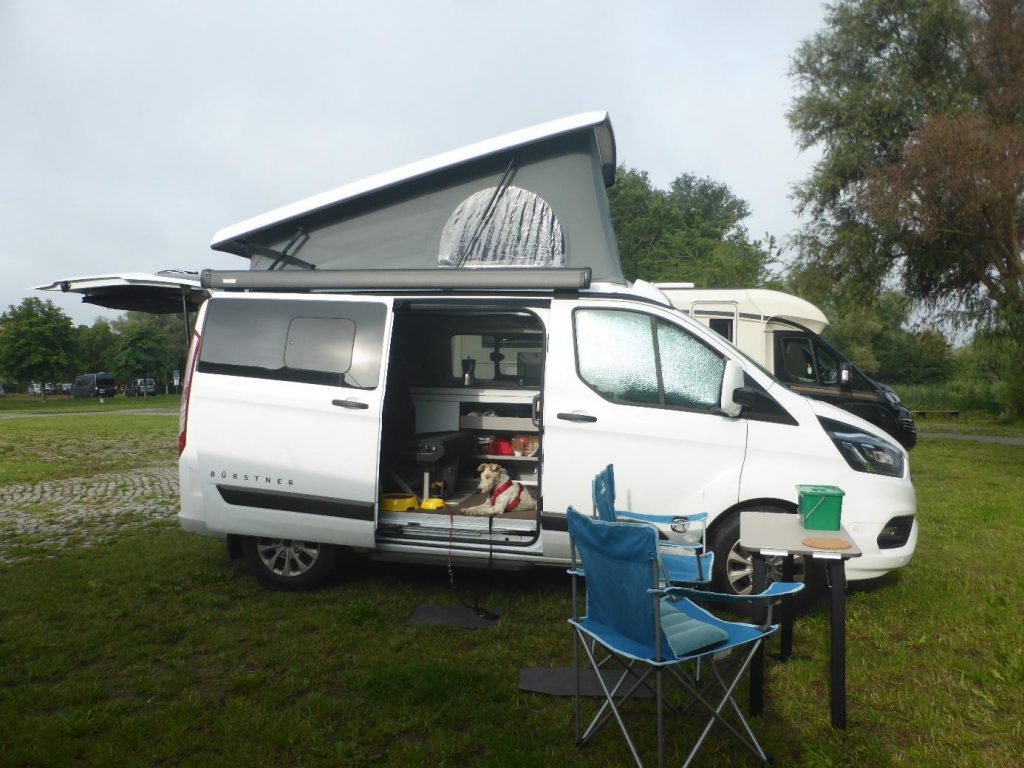 Drashthaar Foxterrier liegt entspannt im Eingangsbereich von einem Camper
