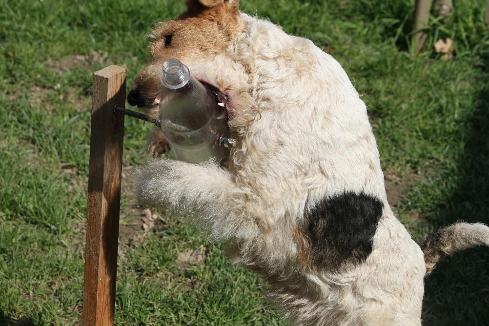 Flaschendrehen Spiel