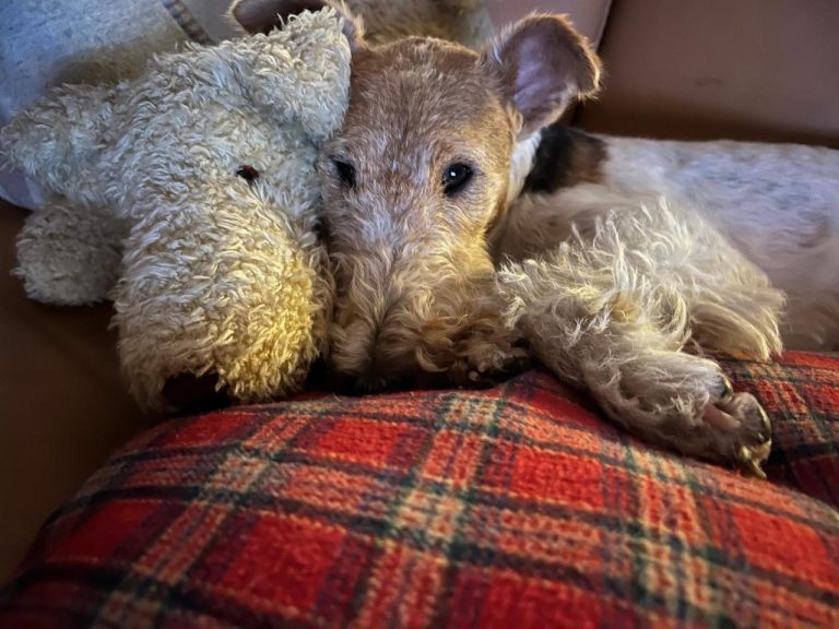 Neues von Claire und Terry