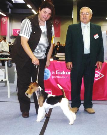 Erfolgreicher Nachwuchs von Ch. Crispy Checkpoint (Charly)