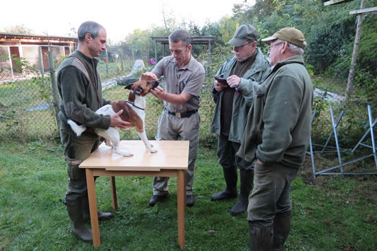 Verbandsrichter waren Herr Georg Eisel (VR-Obmann), Nino Manconi und Jürgen Eisenkolb. 