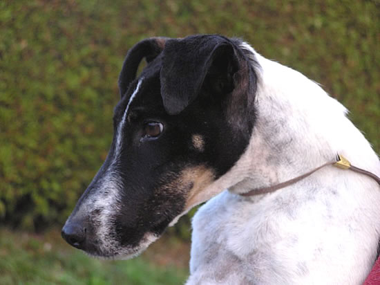 Ray im Alter von 15 Jahren.