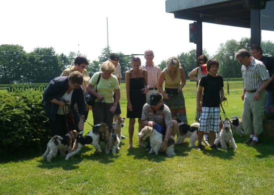 Foxterrier Rennen 2010 der Ortsgruppe Achern/Ortenau