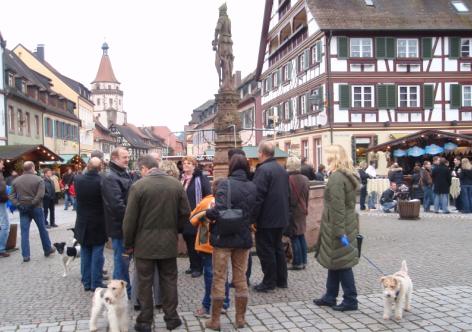 Ausflug mit den Foxterriern