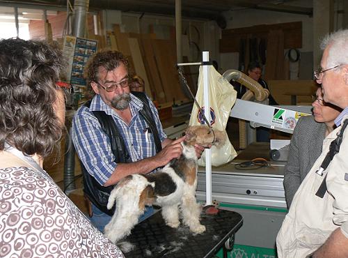 Foxterrier trimmen