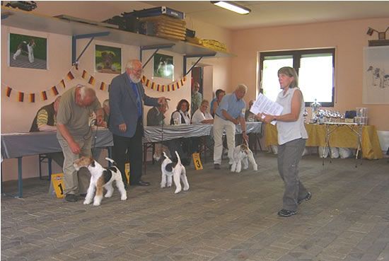 Jugendklasse Rüden, li. V1, JCAC Verbandsjugendsieger Vico v. Westerberg Nr.32