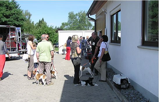 teller der Gebrauchshundklassen