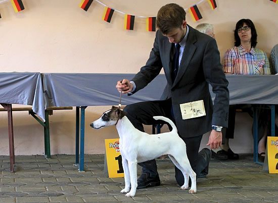 Jugendklasse V1 JCAC Verbandsjugendsieger Moritz v. d. schönen Bergen Nr.2