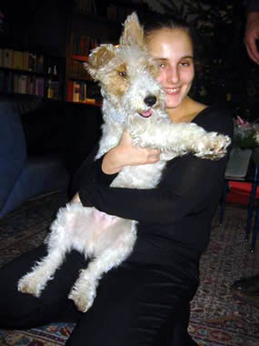 Drahthaar Foxterrier 