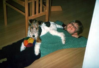 Der Foxterrier als Spielkamerad  