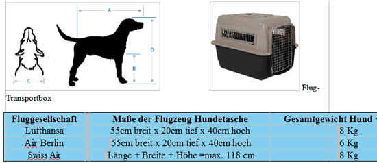 hundebox foxterrier