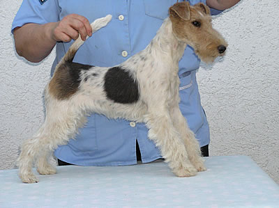 Karla Konfetti OF FAIR PLAY