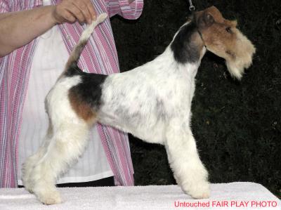 Kiwi Kapriole OF FAIR PLAY