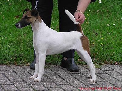 V1 Jugendsieger Baden/Schweiz, V1 Jugend CAC (Rodgau)