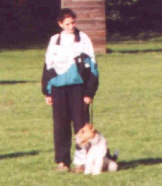 Foxterrier Champion - Tristan OF FAIR PLAY 