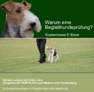 Warum eine Begleithundeprfung