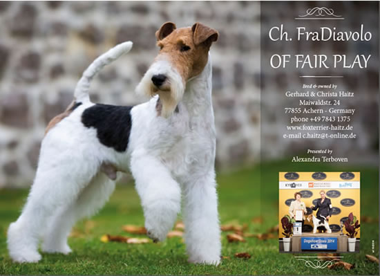 deckrüde fradiavolo