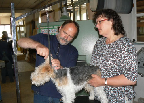 Trimmtag OG Achern Ortenau