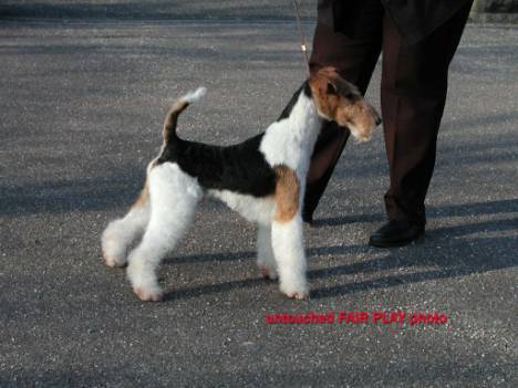 MICHA V. SIEGFRIEDQUELL