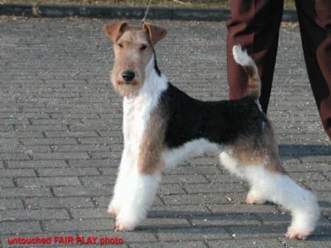 MICHA V. SIEGFRIEDQUELL