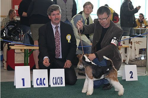 Man in Black OF FAIR PLAY