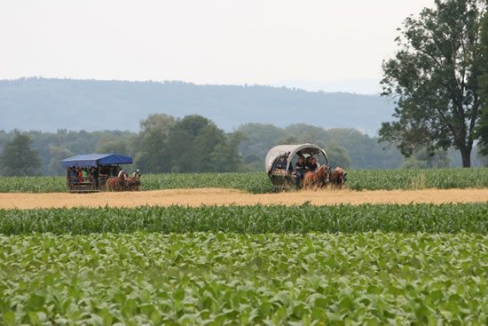 Planwagenfahrt anlässlich des 20. Jubiläums der OG Achern/Ortenau