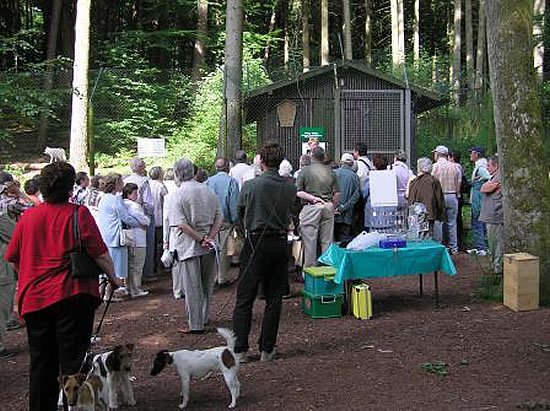 Führung im Wolfsgehege